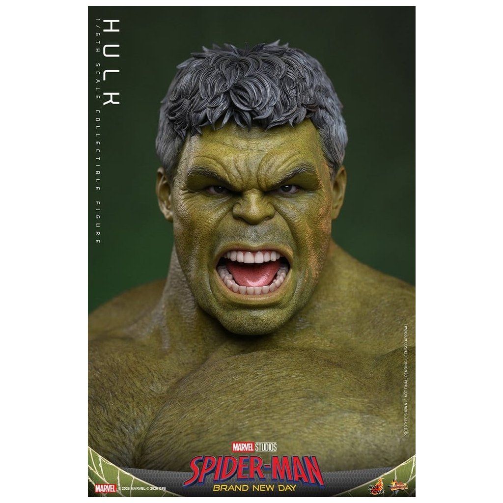 Hot Toys Hulk Spider-Man Brand New Day