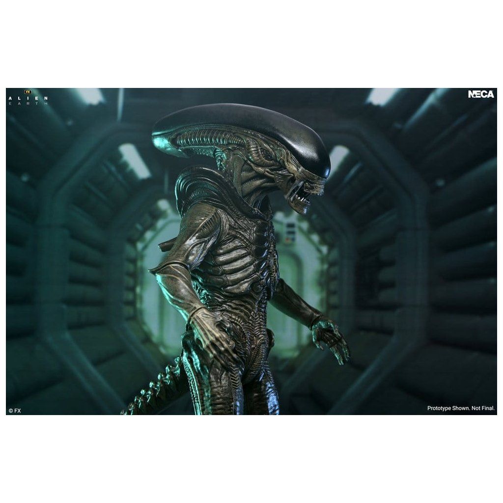 Alien Earth Ultimate Action Figure Xenomorph 18 cm